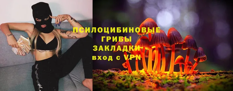 omg ссылки  как найти   Кувандык  Галлюциногенные грибы Psilocybine cubensis 